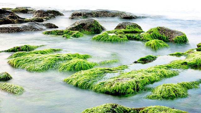 sea-816740_640